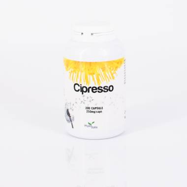 Cipresso 200 cps