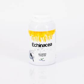 Echinacea 200 cps