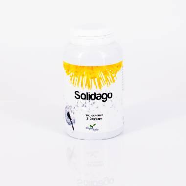 Solidago 200 cps