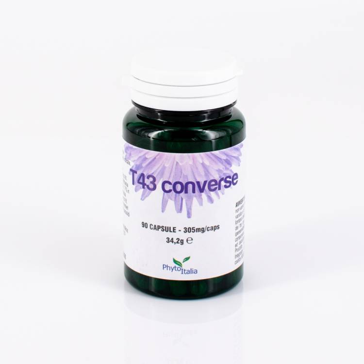 T43 Converse 90 cps