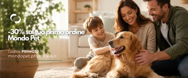mondo pet