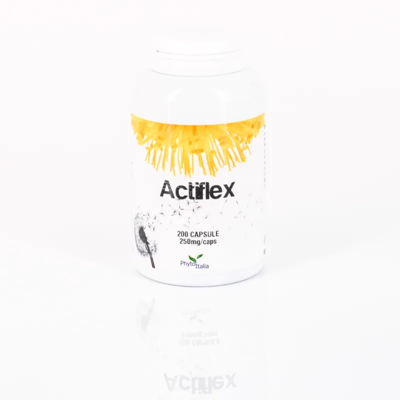 ATX | Actiflex 200 Kapseln