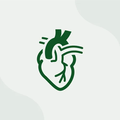 Sistema cardiovascular