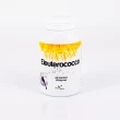G242 | Eleutherococcus 200 capsules