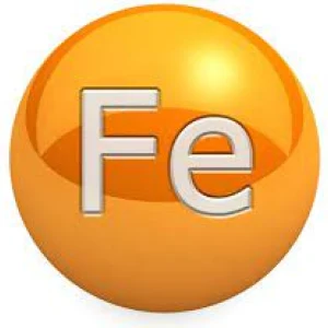 Ferro Gluconato 100 caps