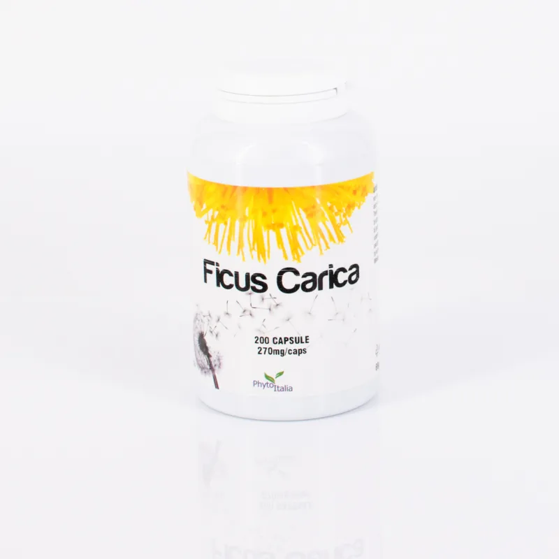 G272 | Ficus Carica 200 Kapseln