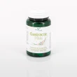 CGA | Gastractic Plus ® 80 comprimidos