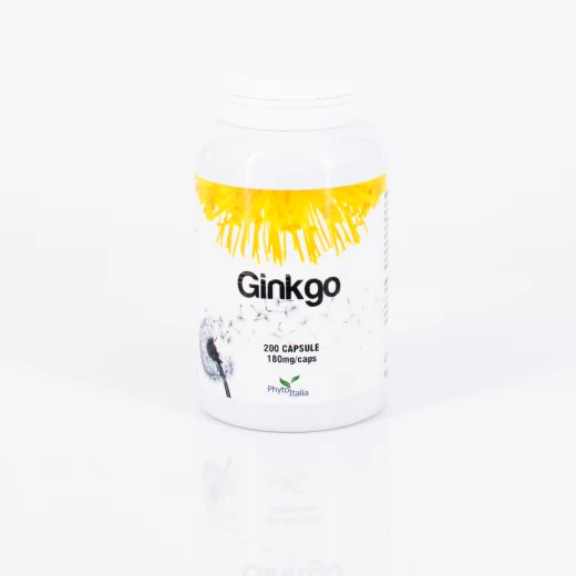 G302 | Ginkgo biloba 200 cps