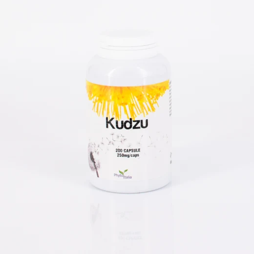 E210 | Kudzu 200 capsule
