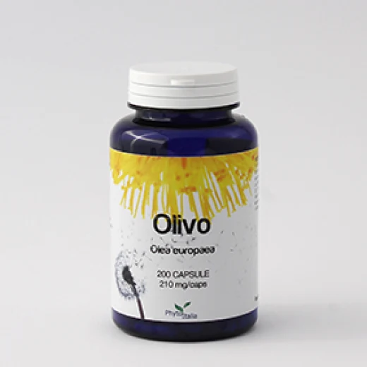 G395 | Olivo 200 cps