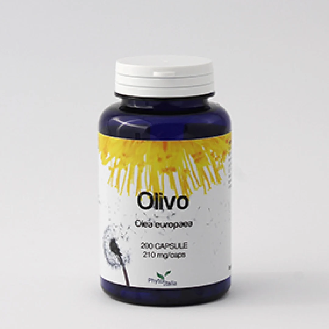 G395 | Olivo 200 cps