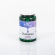 G042 | Osteoplus 2x60 capsule