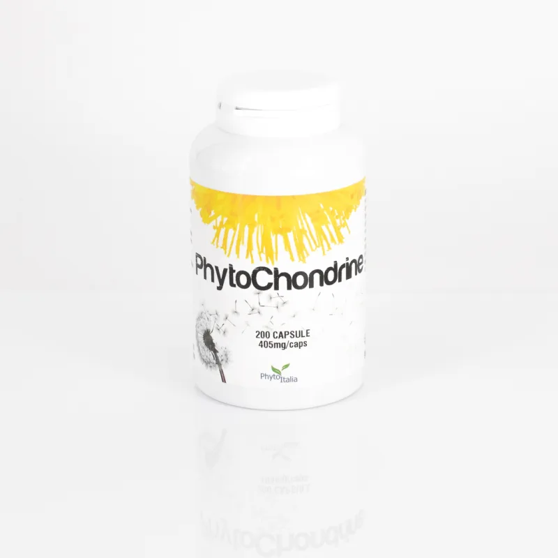 G124 | PhytoChondrine 200 cápsulas