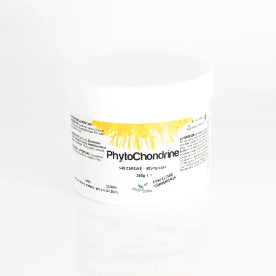 G123 | PhytoChondrine 540 cps