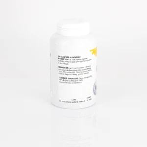PhytoNorm 200 gélules