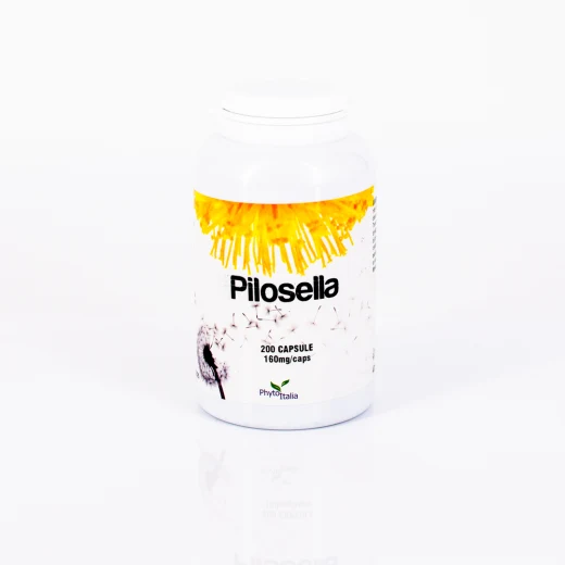 D241 | Pilosella 200 capsule