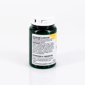 PulmoPlus 100 capsule