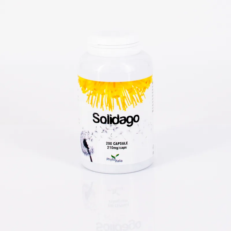 D278 | Solidago 200 capsules