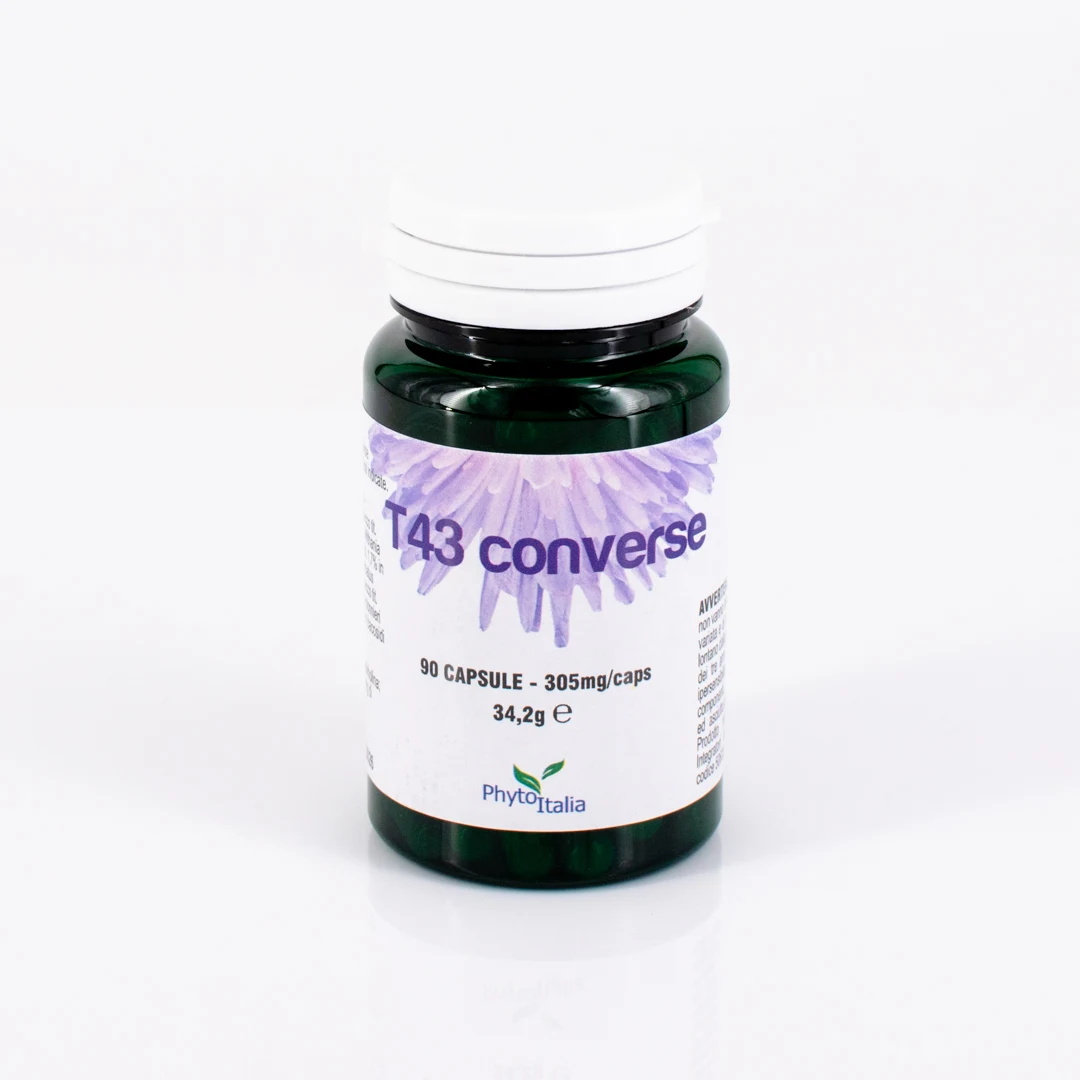 G018 | T43 Converse 90 cps