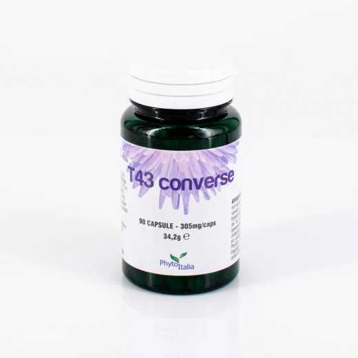 G018 | T43 Converse 90 cps