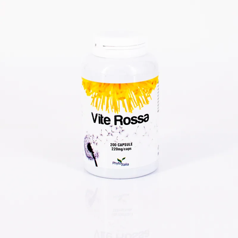 G554 | Rote Rebe 200 Kapseln